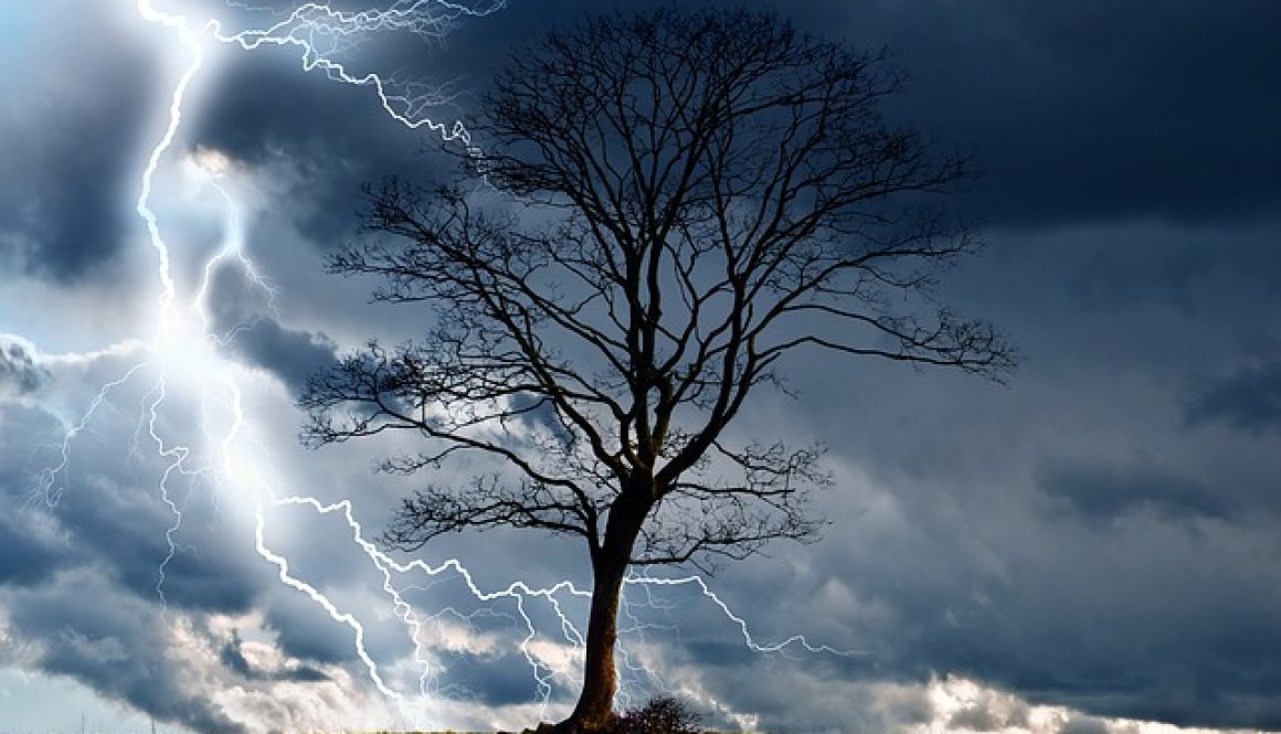 Rage/Neurologicallygifted.com